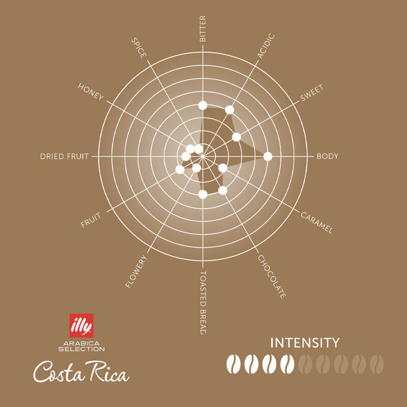 Illy Koffiebonen Costa Rica (250 gram)