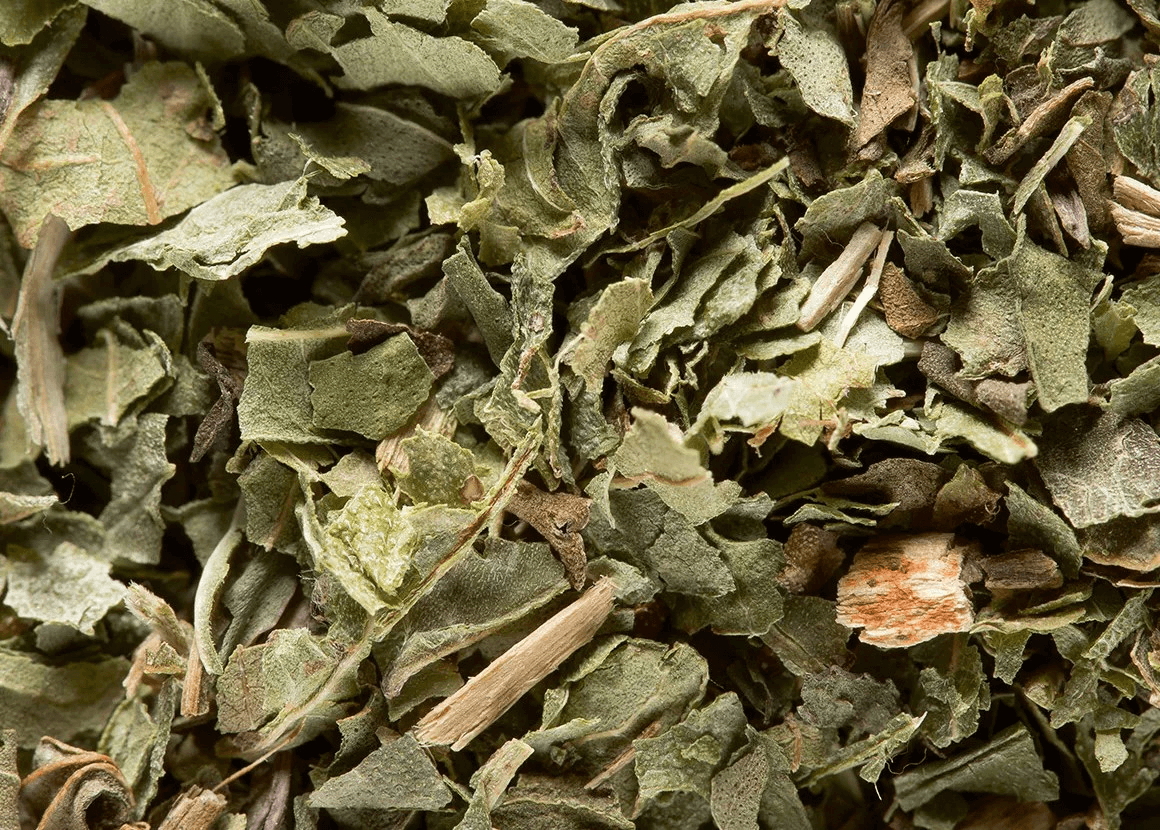 Dammann Frères Verveine Munt 24 stuks